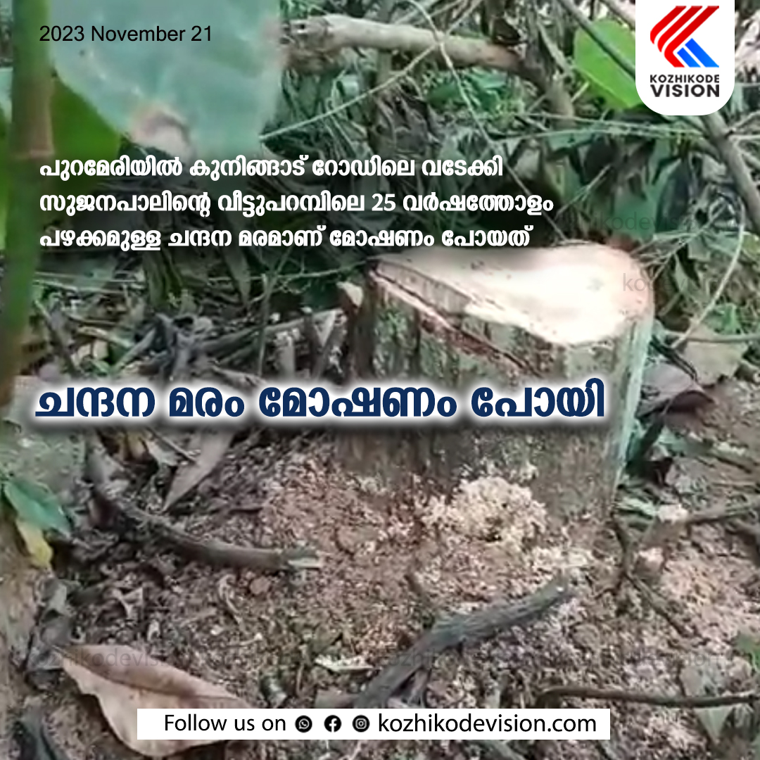 വടകര വില്യാപ്പള്ളി ഭാഗങ്ങളില്‍ ചന്ദന മരം മോഷണം പോകുന്നത് പതിവാകുന്നു; വീട്ടുപറമ്പിലെ 25 വര്‍ഷത്തോളം പഴക്കമുള്ള ചന്ദന മരവും മോഷണം പോയി