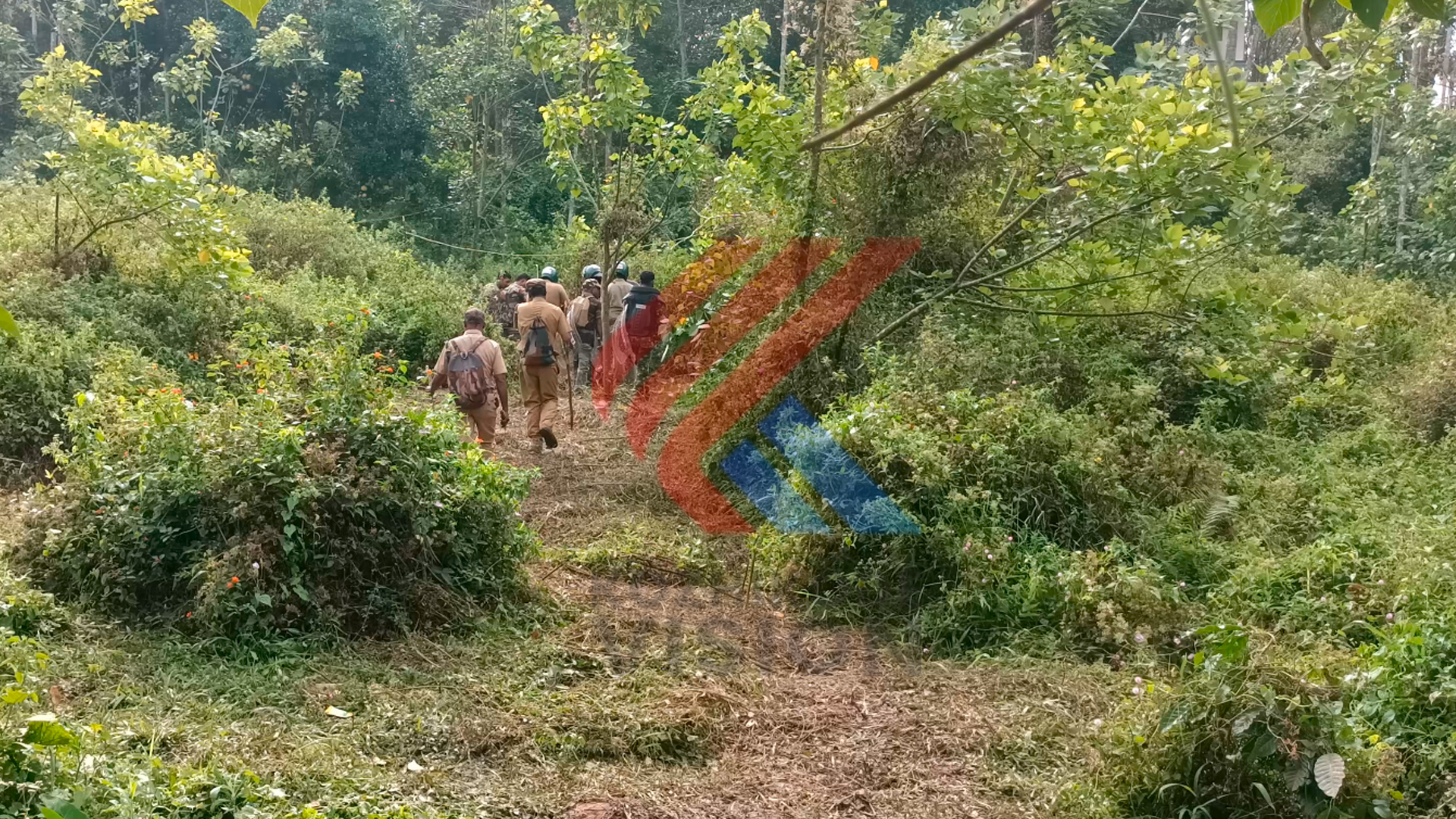 കടുവ ഭീതിയില്‍ വയനാട്; ഇടവേളയ്ക്ക് ശേഷം വീണ്ടും കടുവ ആക്രമണത്തില്‍ ഒരു മരണം കൂടി